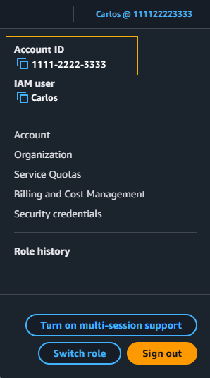 Account information drop-down box with account ID highlighted.