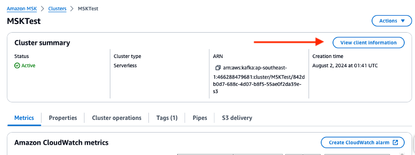 Cluster summary page with arrow pointing to View client information button.