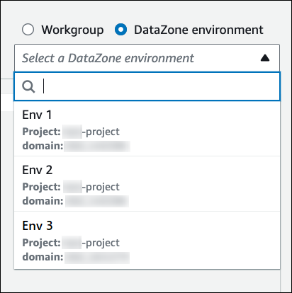 Choose a DataZone environment