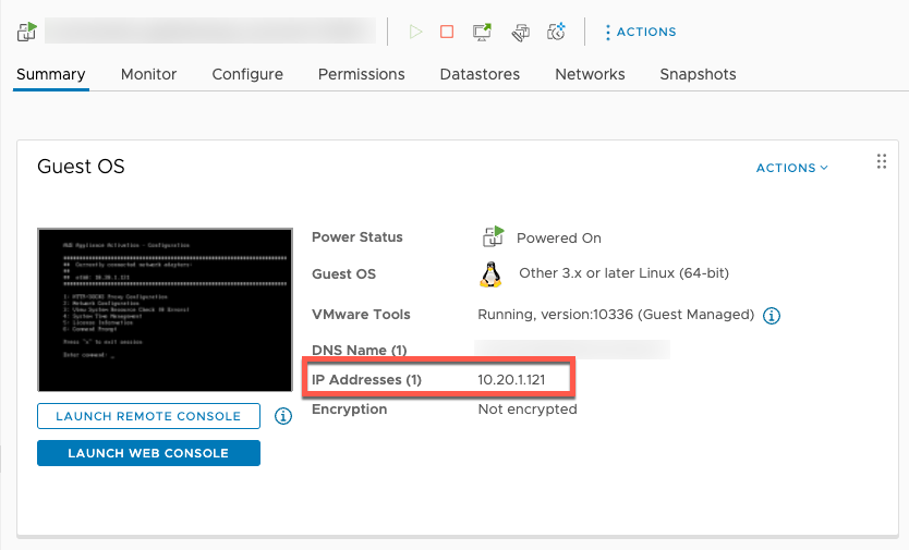 The IP Addresses field on the Summary page.