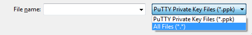 Putty key file type