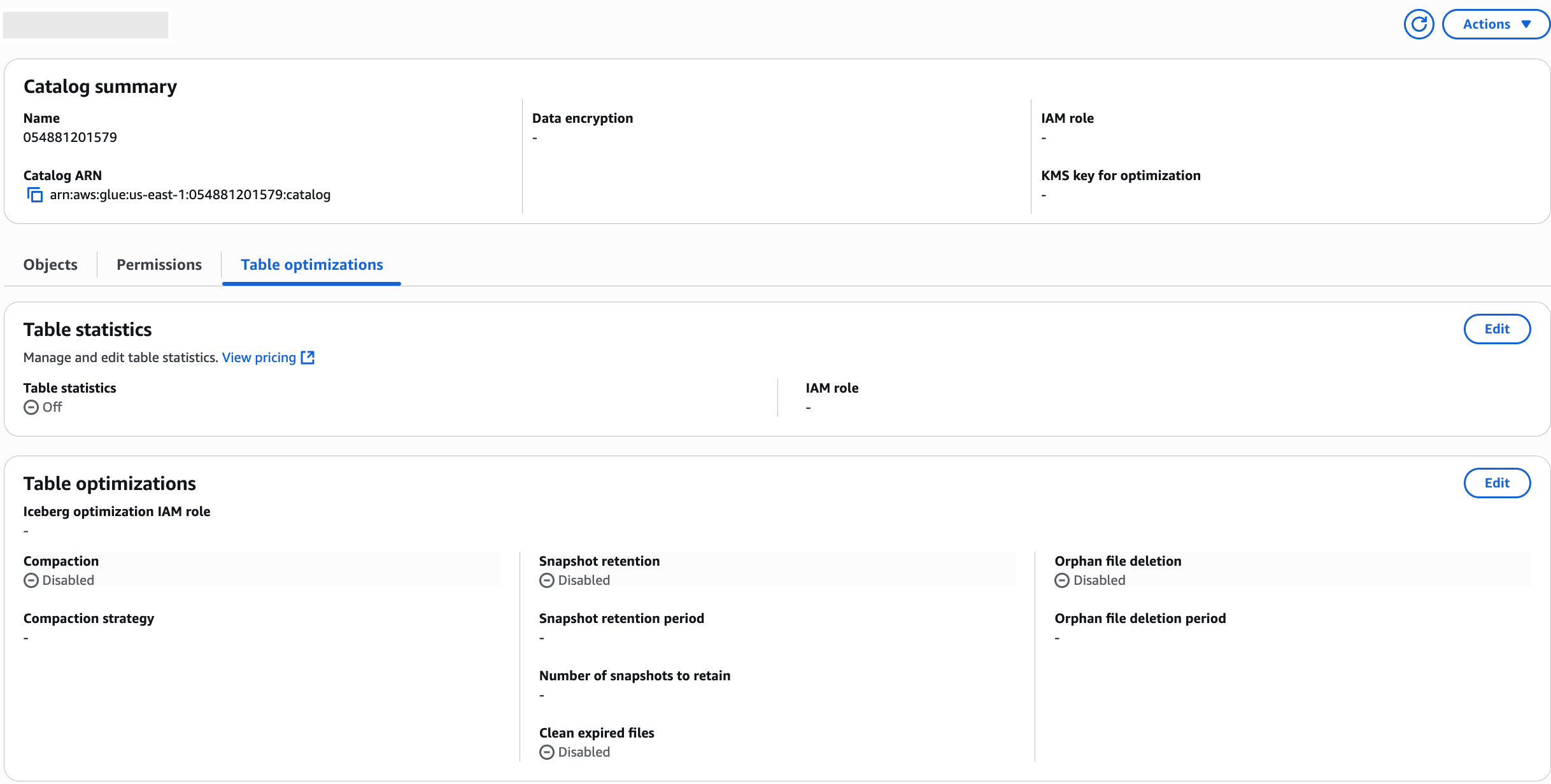The screenshot shows the edit option to enable optimizations at the catalog-level.