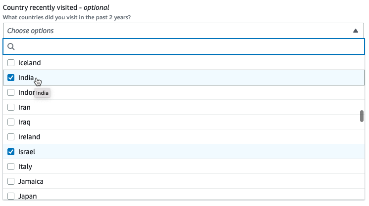 The screenshot shows a custom visual transform parameter with a list drop-down.