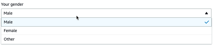 The screenshot shows a custom visual transform parameter with a single select list drop-down.