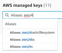 Filter box showing aws/e search with dropdown displaying matching aliases such as aws/elasticfilesystem.