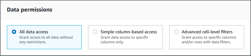 The section contains three tiles, arranged horizontally, each with an option button and a description. The option buttons are: All data access (selected), Simple column-based access, and Advanced cell-level filters.