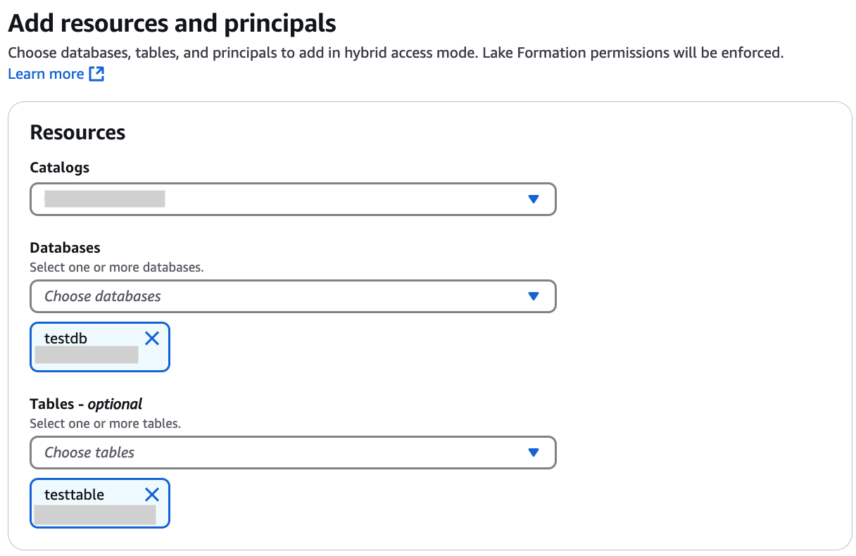 The interface to add catalogs, databases, and tables in hybrid access mode.