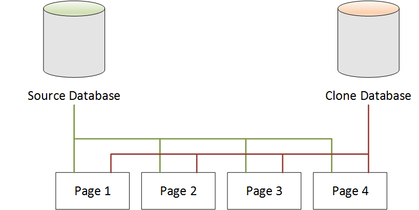 Neptune source database and clone database pointing to the same pages after DB cloning.