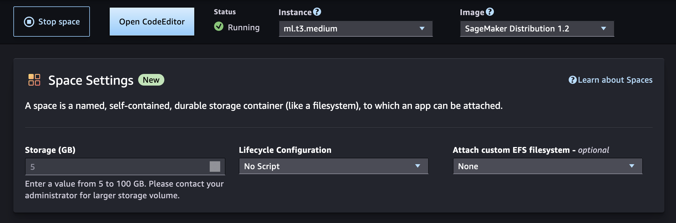 A space detail page in the Code Editor application UI.