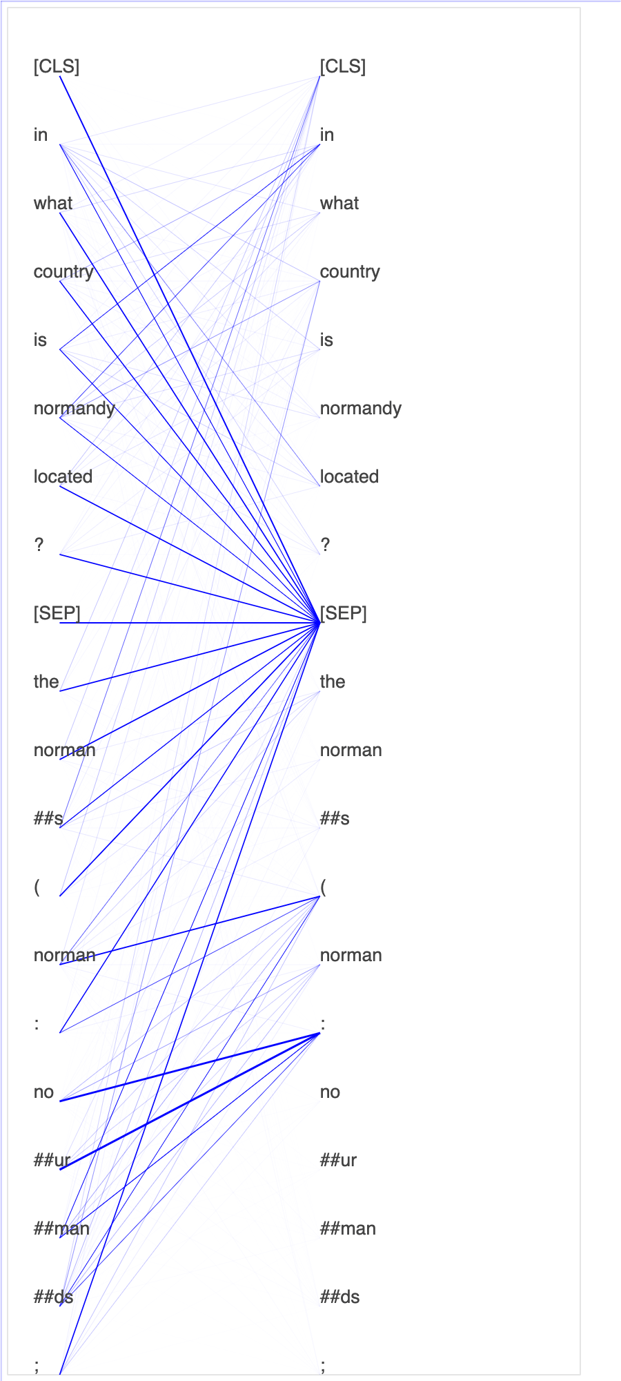 An animation of the attention scores.
