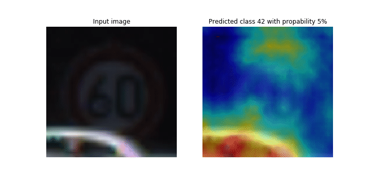 An animation of CNN class activation maps.