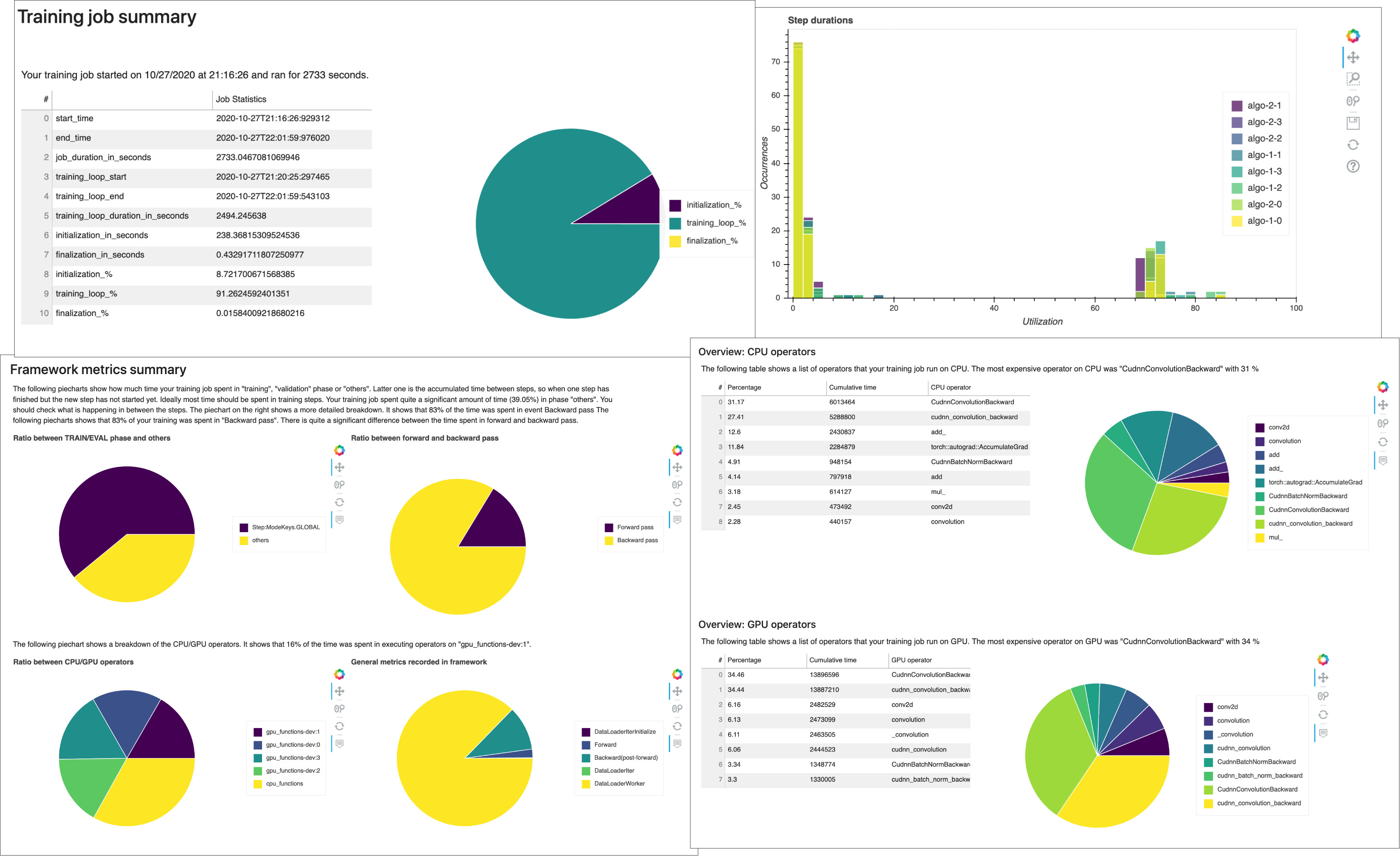 An example of a Debugger training job summary report.