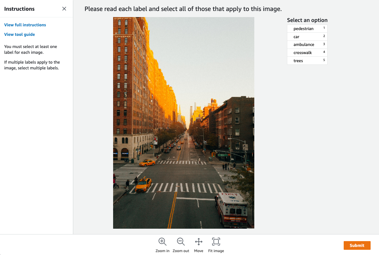 Example worker UI for labeling tasks, provided by Ground Truth.