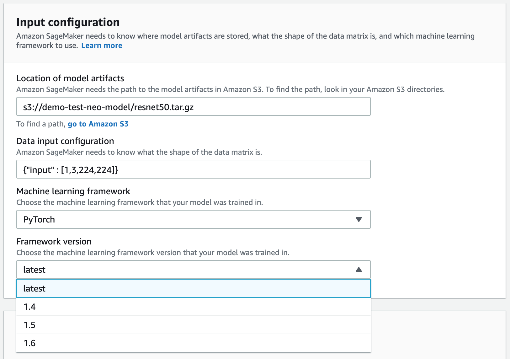 Example Input configuration section showing where to choose the Framework version.